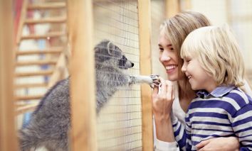 4 Tage Urlaub in Dresden für die ganze Familie + Familienticket für den Zoo