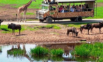 Achtung Wild! mit Serengetipark (2 N, HP, Eintritt)