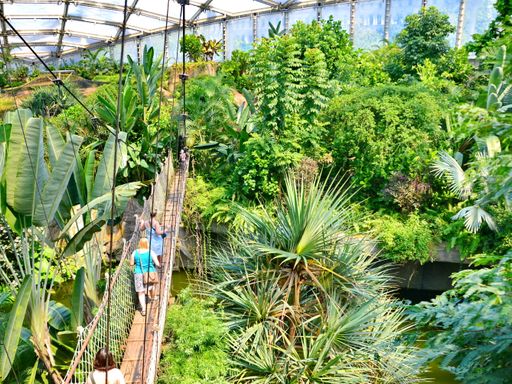 5 Tage Urlaub mit Kindern in Leipzig verbringen inkl. kostenfreiem Zooeintritt