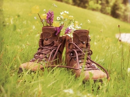 Wandertraum - auf dem Panoramaweg durch's Altmühltal