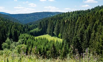 2 Tage Kurzurlaub im Thüringer Wald im gemütlichen Hotel genießen