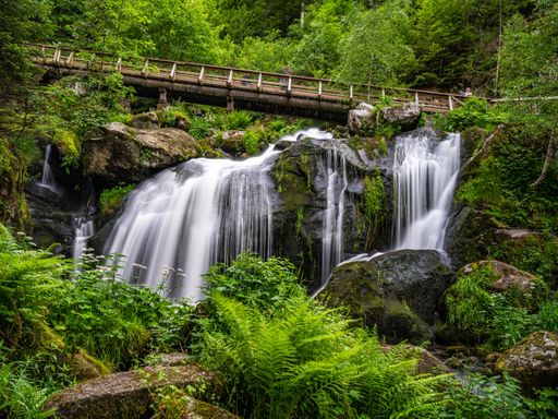 Entspannung PUR -5 Tage Bad Dürrheim & SOLEMAR Therme