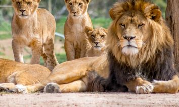 Faszination Gondwanaland im Zoo Leipzig