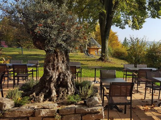 4 Tage Erholungs- & Aktivurlaub in Bad Mergentheim und das liebliche Taubertal entdecken