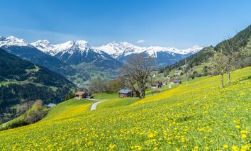 3 Tage Wohlfühlurlaub im Allgäu und im modernen Felix Hotel Kaufbeuren übernachten