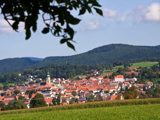 3 Tage Erholungsurlaub im Wellnesshaus Waldmünchen im traumhaften Bayerischen Wald genießen