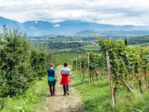 3 Tage Genussurlaub an der Pfälzer Weinstraße in der Kurstadt Bad Dürkheim