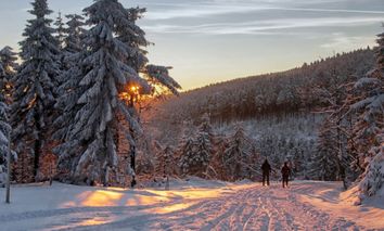 3 Tage Winterwandern am Rennsteig in Oberhof