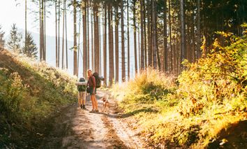 Entspannte Tage im Komfort-Zimmer