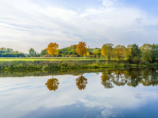 2 Tage bei einer Kurzreise Bad Schönborn genießen & das Technik Museum in Speyer besuchen