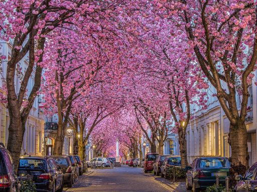 3 Tage aufregender Kurzurlaub in Bonn mit Aufenthalt im modernen tinyTwice Hotel