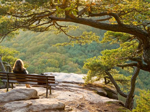 3 Tage Kurzurlaub zwischen Rhein, Deutscher Weinstraße und Pfälzer Wald