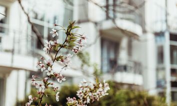Auszeit vom Alltag in der Natur