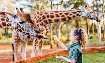 3 Tage Leipzig und den berühmten Zoo mit der ganzen Familie entdecken