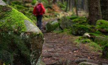 Langzeit Schläfer in Thale - 8 Tage