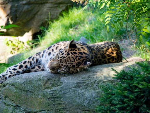 2 Tage Leipzig für 2: Kurzurlaub in ruhiger Lage inkl. Zoobesuch verbringen