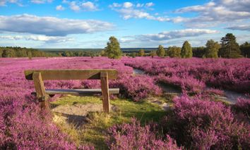 3 Tage Kurzurlaub im 4* Eurostrand Resort Lüneburger Heide: Naturwunder & aktive Erholung genießen