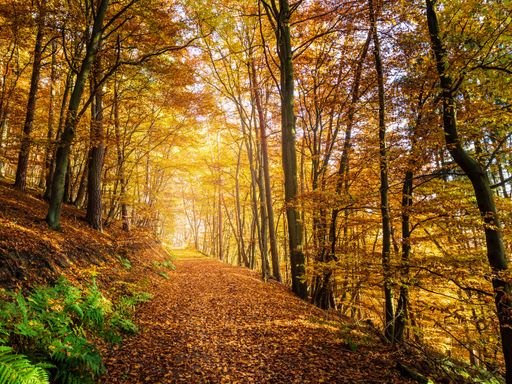 4 Tage Kurzreise ins herrliche Bergische Land & eine Auszeit in Remscheid genießen