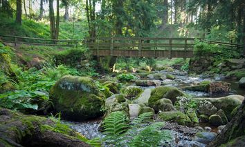 5 Tage große Alltagspause inkl. HP Plus