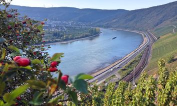 4 Tage Rhein-Lust-Urlaub