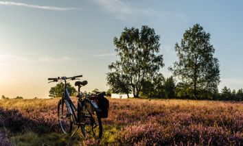 2 Tage Erholungsreise nach Buchholz: Entdecken Sie das Flair Hotel Zur Eiche